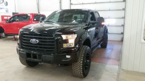 Ford F-150 2016 (2)
